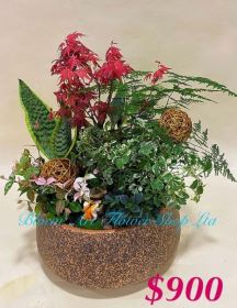 CODE 12796 - Greenery set with pot